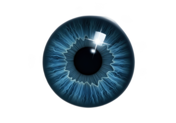 A close-up of a blue human eye with a black pupil and transparent background isolated on transparent background