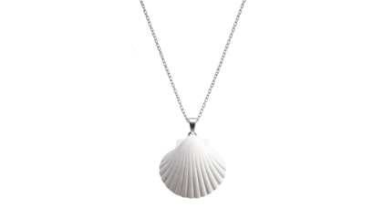 Elegant Minimalist Shell Necklace isolated on solid white background3