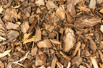Top view of tree bark lying on the ground