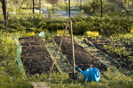 country gardening tools on the background of garden beds