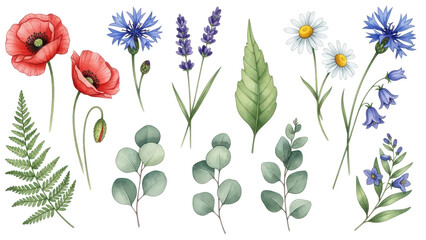Flowers and leaves set, floral watercolor illustration for greeting card, invitation and other printing design. Isolated on white. Wild flowers hand drawing.