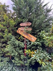 Wooden Direction Signs and Emergency Assembly Point in Forest