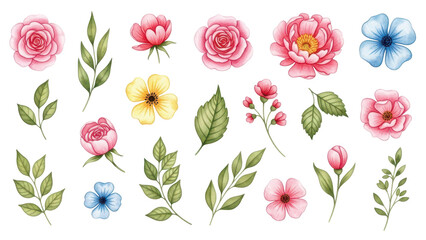 Flowers and leaves set, floral watercolor illustration for greeting card, invitation and other printing design. Isolated on white. Hand drawing.