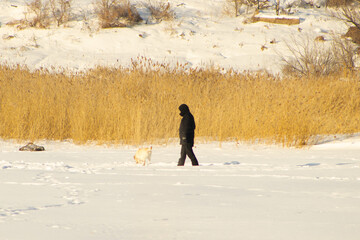 Person in Winter Gear Walking Dog Through Snowy Field