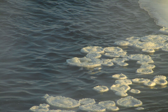 Pancake Ice and Frozen Slush Floating on Cold River Water
