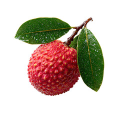 Vibrant Ripe Lychees with Fresh Green Leaves on Branch isolated on transparent background