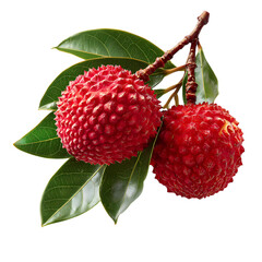 Vibrant Ripe Lychees with Fresh Green Leaves on Branch isolated on transparent background