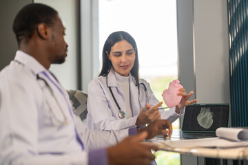 Doctors discussing cardiology case using heart model and digital scan, cardiovascular health,...