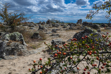 Pobiti Kamani rock formations called Stone Desert, Bulgaria