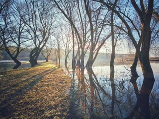 The Dnieper River floods in spring, high water levels during the flood, trees underwater. A beautiful landscape.