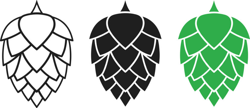 Green hops cone vector set with outline and silhouette styles for craft beer brewery label design and organic farming