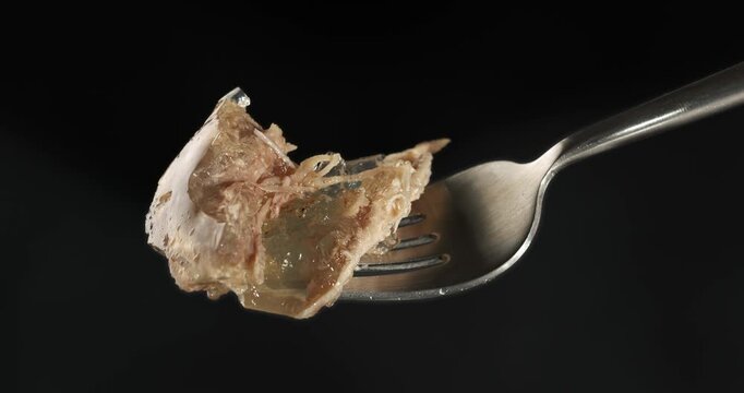 Aspic jellied meat on fork, close-up footage on dark background.