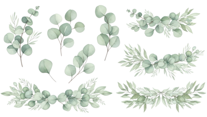 Eucalyptus leaves and greenery borders set.  Watercolor green leaves and branches. Clipart for invitations, greeting cards, save the date, stationery design. Hand drawn illustration.