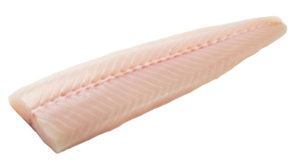 Fresh raw cod fillet isolated PNG on transparent background, uncooked fish portion for healthy eating and seafood recipes