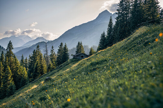 Summer alpine landscape below Mount Biberkopf in the Austrian Alps, overlooking the Lech Valley and Karhorn peaks. An old mountain shelter on a sunny slope in a popular hiking region.
