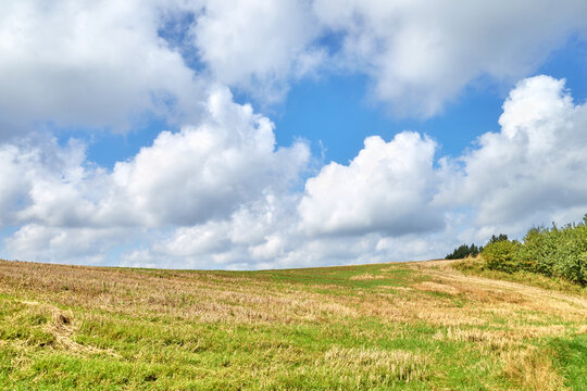 Rural landscape ona sunny day, Poland.