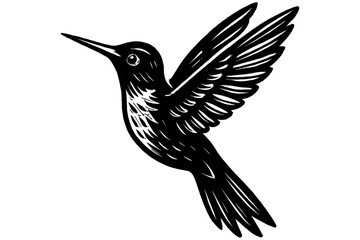 Fototapeta premium vector illustration of a bird, Hummingbird Bird Vector, Silhouette Graphic Illustration