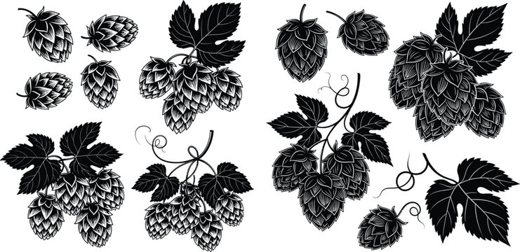Detailed hop cones and leafy vines essential for brewing, presented as various silhouette elements