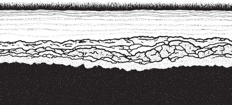 Microscopic view of metal corrosion showing layers and grain boundaries.