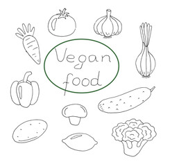 Hand Drawn Vegan Food Illustration Set with Vegetables