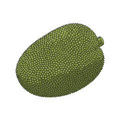 A realistic illustration of a jackfruit, a popular Sri Lankan traditional fruit, perfect for Sinhala and Awurudu celebrations in Sri Lanka