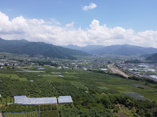 長野の中野市の農園と夏の青空　雄大な山並みと果樹園の風景（ドローン空撮）