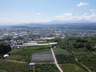 長野の中野市の農園と夏の青空　雄大な山並みと果樹園の風景（ドローン空撮）