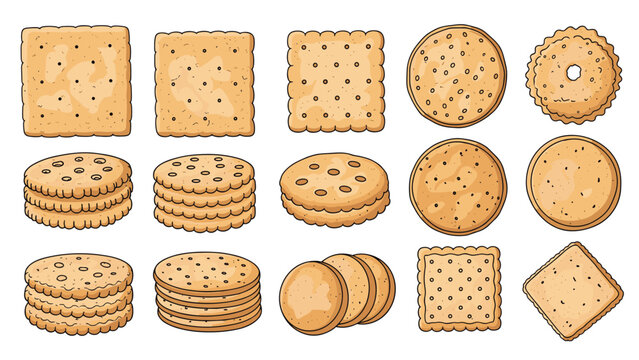 Selection of different crackers and biscuits in various shapes like round and square for snacking and food themes.