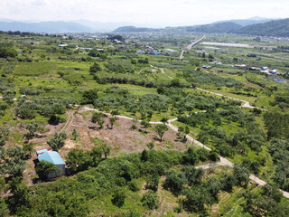 長野の中野市の農園と夏の青空　雄大な山並みと果樹園の風景（ドローン空撮）