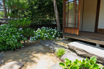 紫陽花と日本家屋