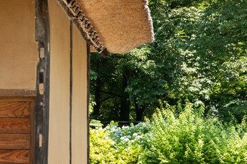 紫陽花と日本家屋