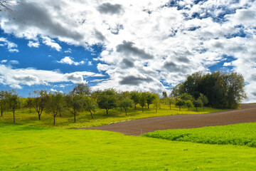 Obraz premium Feldlandschaft, Streuobstbäume