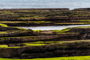 moss-covered rocks at the beach in Jeju Island, South Korea