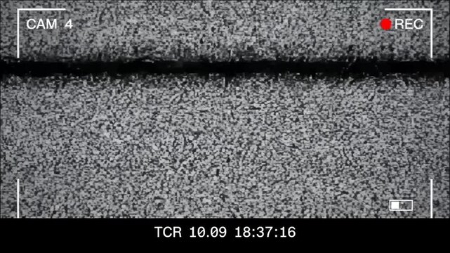 Security camera displaying static noise
