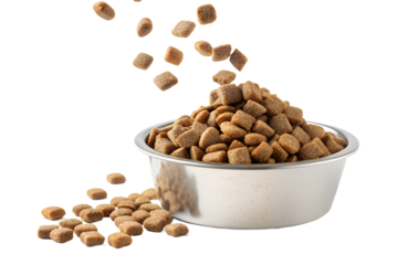 Ultra realistic close-up of a pet food bowl filled with dry kibble, additional kibble pieces falling from above into the bowl, frozen mid-air, sharp focus, high detail texture, clean studio lighting, 