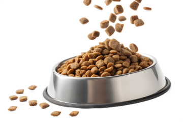 Ultra realistic close-up of a pet food bowl filled with dry kibble, additional kibble pieces falling from above into the bowl, frozen mid-air, sharp focus, high detail texture, clean studio lighting, 