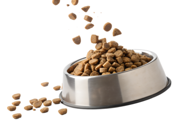 Ultra realistic close-up of a pet food bowl filled with dry kibble, additional kibble pieces falling from above into the bowl, frozen mid-air, sharp focus, high detail texture, clean studio lighting, 