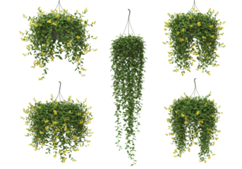 Six individual hyperrealistic hanging flowering vines with lush emerald green foliage and yellow star blossoms, isolated on a transparent background for sophisticated design concept