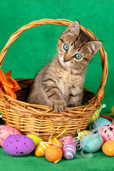 A funny kitten sits in a basket surrounded by colorful Easter eggs