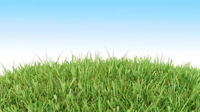 Seamless 3D render loop of rotating grassy orb with yellow dandelion flowers under blue sky, stylized nature animation, spring and Easter theme