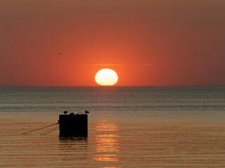 Sunset in Rewal, Poland. Sun and red sky over calm Baltic Sea with platform and silhouetted birds at dusk, alone bird in the sky, warm orange reflections glow across the sea