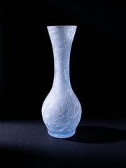 vase on black background