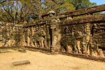 Warm sunlight highlights the detailed stone carvings of elephants on the ancient Terrace of the Elephants in Angkor, Cambodia. The weathered sandstone reliefs stand out against a backdrop of dry grass
