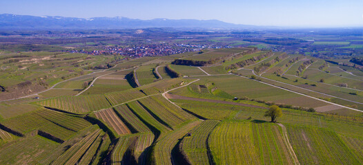 Weinberge Reben von oben Drohnenaufnahmen