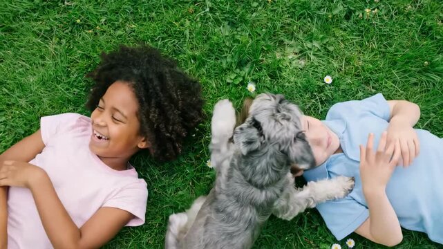Top view of diverse children playing with a dog on green grass. Happy kids laughing as a puppy licks their faces in a sunny park. Childhood friendship and pet bonding concept