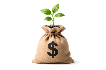 Green plant growing from dollar sign money bag, symbolizing financial growth, investment, profit, and success, isolated on white.