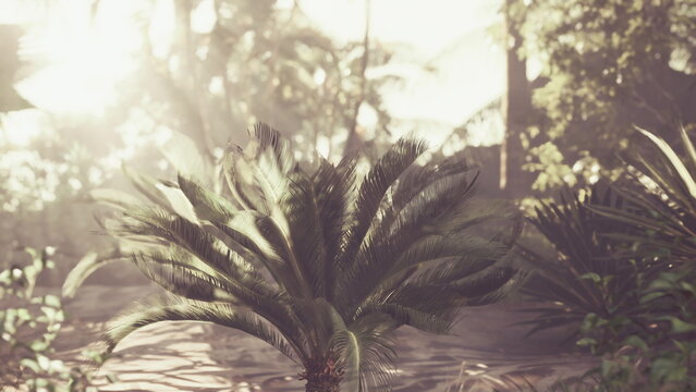 Warm sunlight filters through the vibrant leaves of tropical plants, creating a peaceful atmosphere in this lush garden. Nature thrives with rich textures and soft shadows.