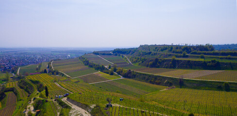Weinberge Reben von oben Drohnenaufnahmen