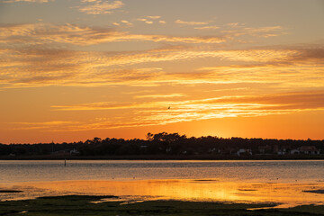 Obraz premium Wide view of coastal wetland with lagoon channels during sunset Furadouro Portugal, Ovar – Furadouro, 12 November 2025