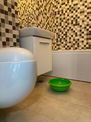 Modern bathroom interior featuring a sleek white toilet, stylish sink, and a vibrant green bowl on the floor, showcasing contemporary design elements and clean lines